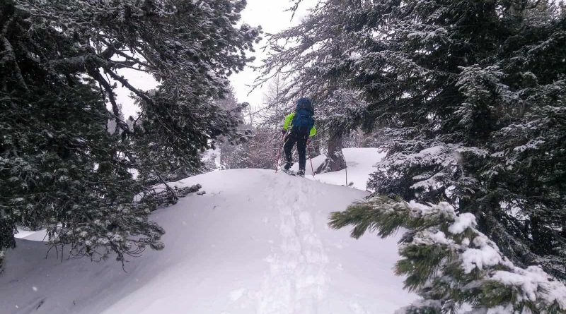Snowshoeing in the Lungau-31047.jpg