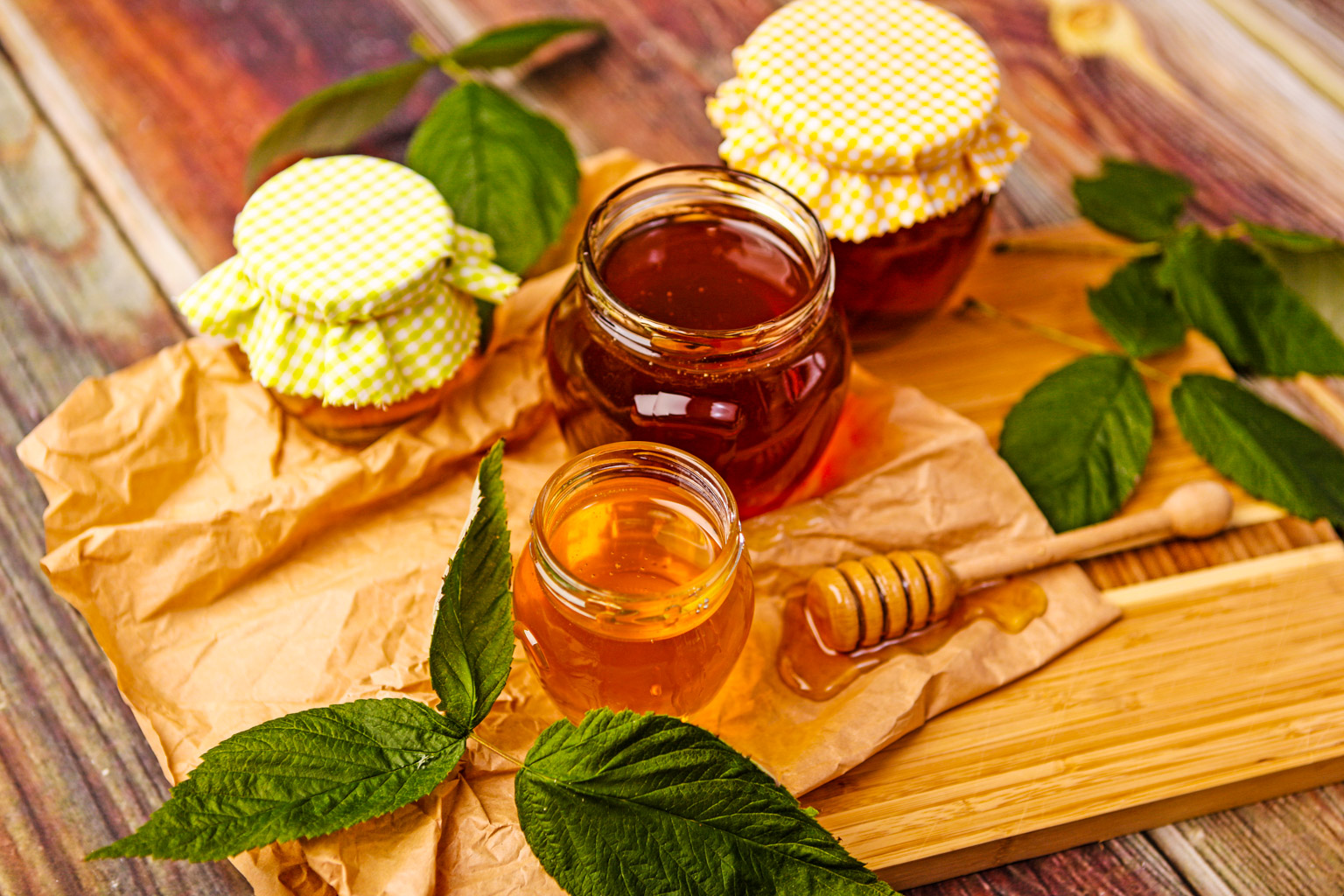 Centralparks Gemer pilot area-31063.JPG