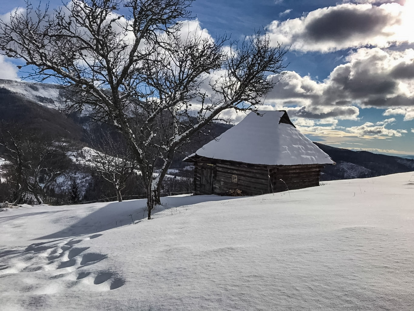 Centralparks Gemer pilot area-31065.jpg