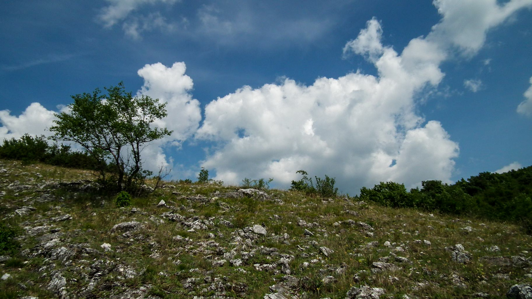 CentralParks Gemer pilot area-31091.JPG