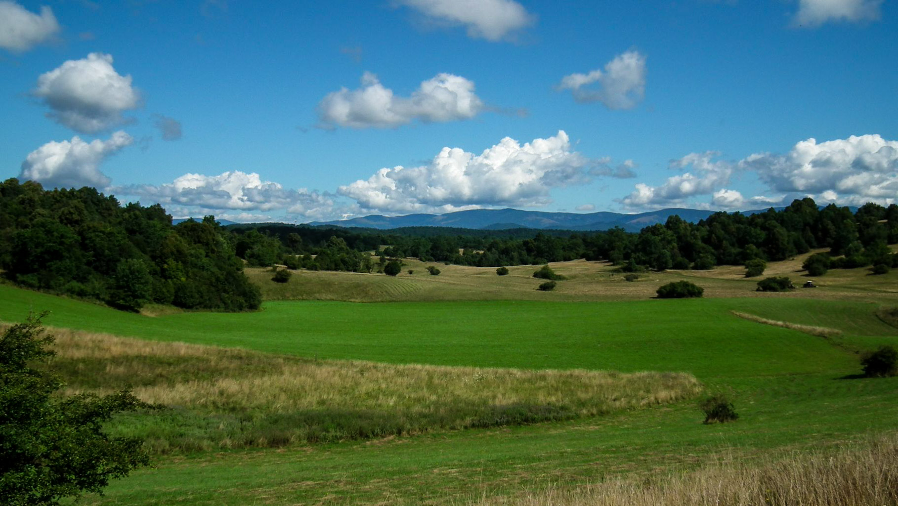 CentralParks Gemer pilot area-31092.JPG