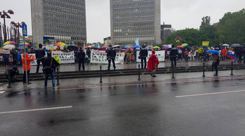 Slovenia iva Alif-31287.jpg