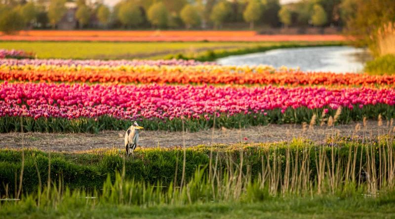 CAP BioDiv-31321.jpg