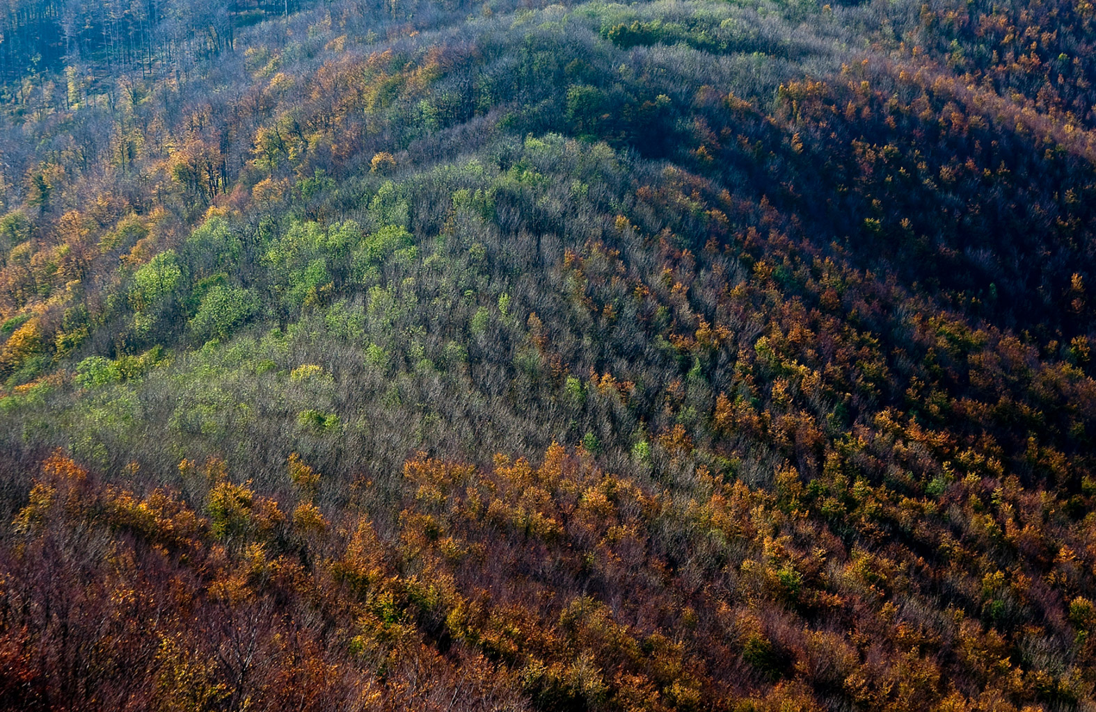 Centralparks Danube-ipoly National Park-31508.jpg