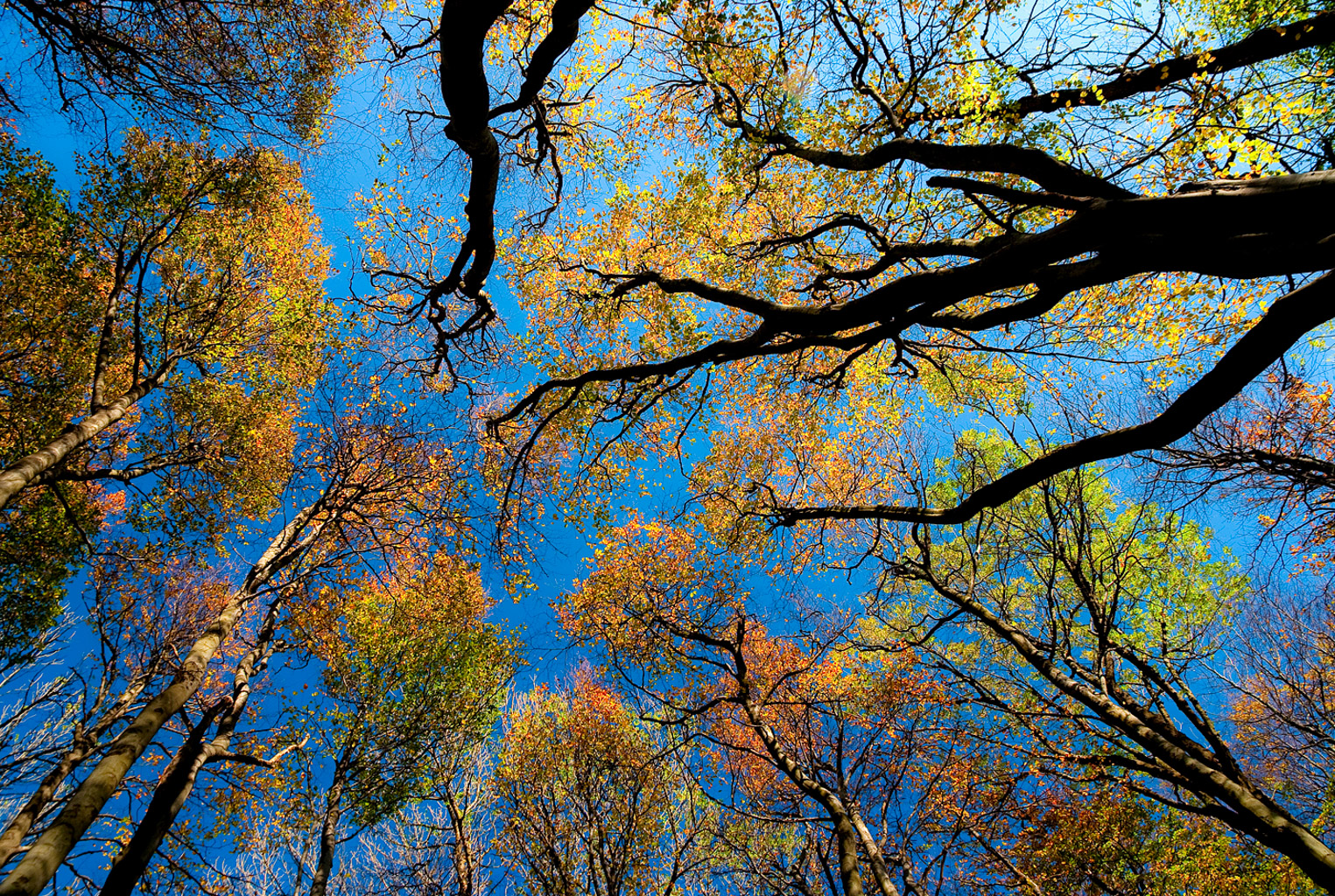 Centralparks Danube-ipoly National Park-31509.jpg