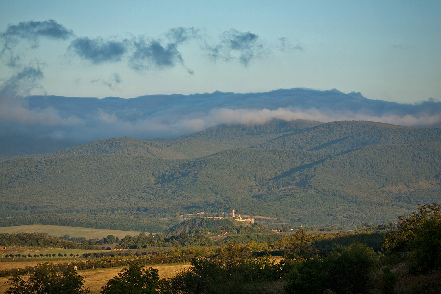 Centralparks Danube-ipoly National Park-31510.jpg