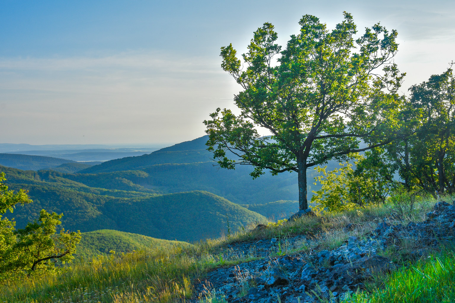 Centralparks Danube-ipoly National Park-31511.jpg