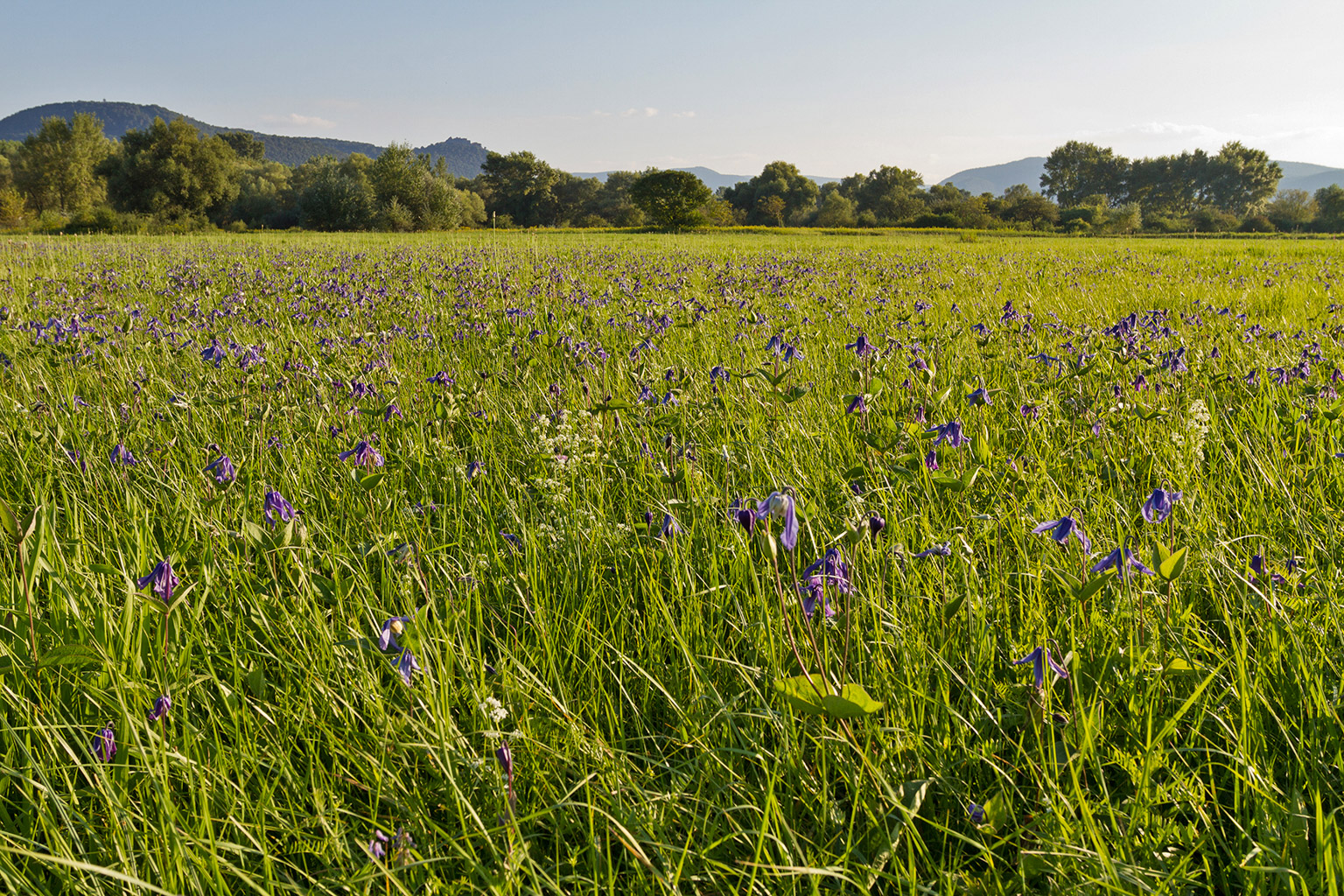 Centralparks Danube-ipoly National Park-31554.jpg