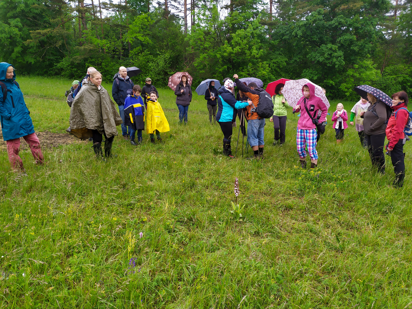 Centralparks VIS excursion-31502.jpg