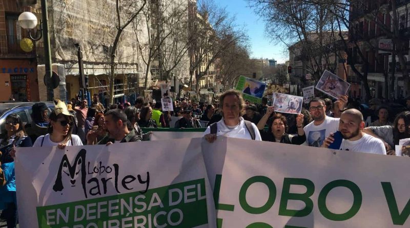 Lobo Marley Wolf PRotest Madrid 31726.JPG