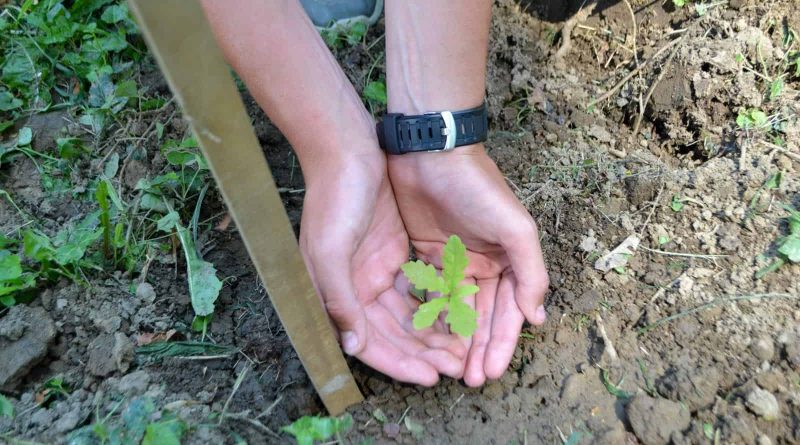 European Wilderness Society Youth Ukraine-32203.jpg