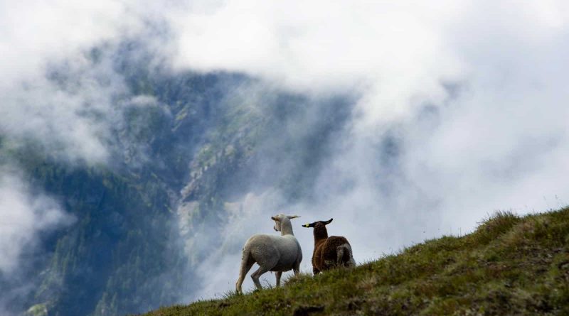 LIFEstockProtect Excursion 4-8-2020-31814.jpg