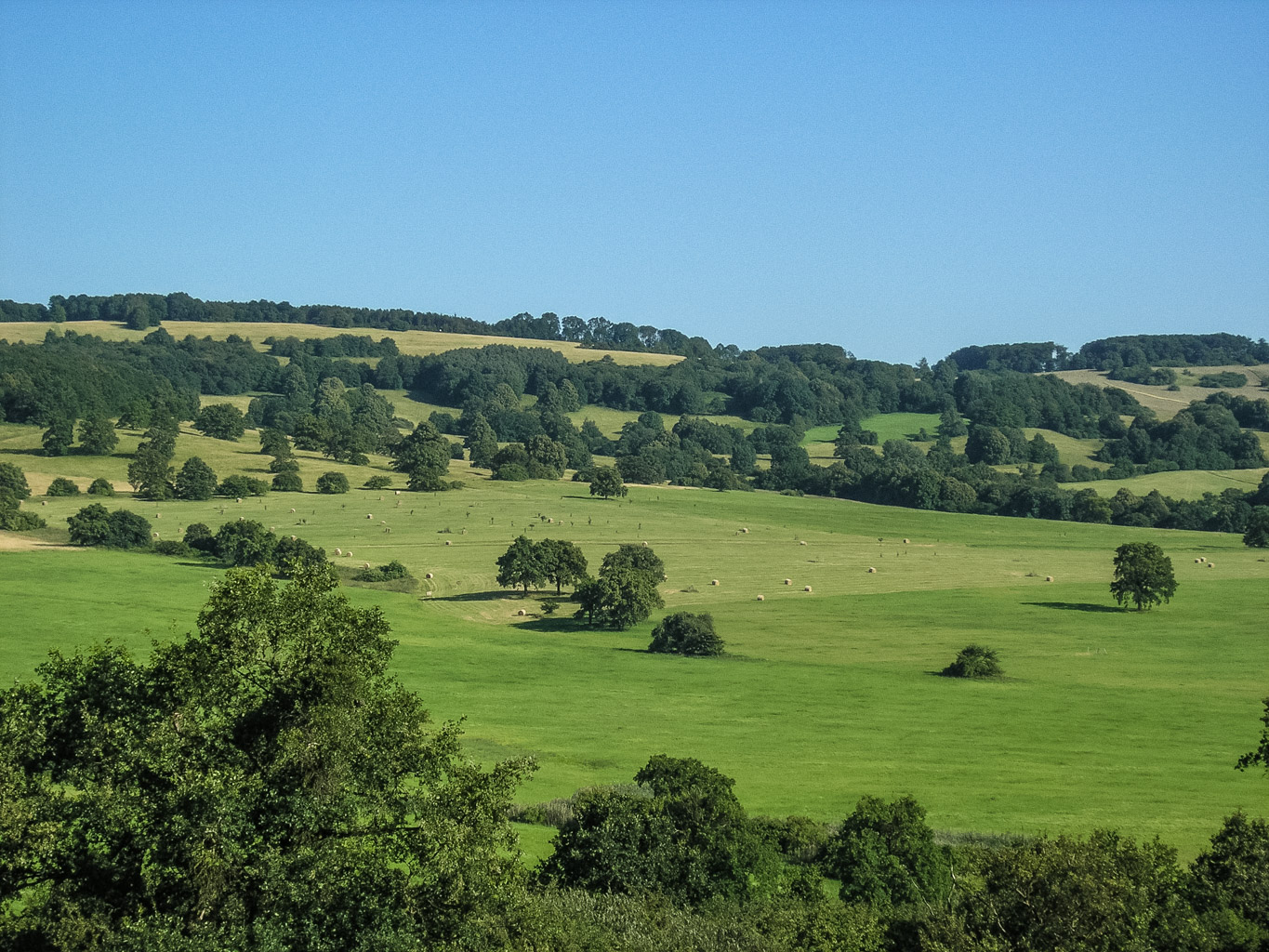 Centralparks Czech Carpathians-32370.JPG