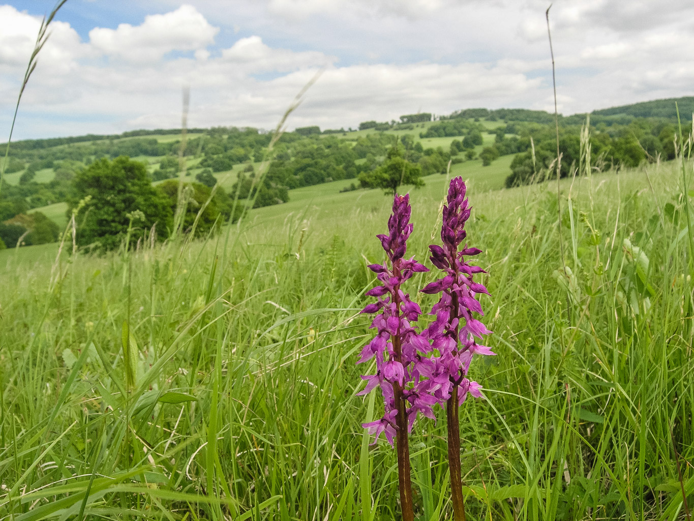 Centralparks Czech Carpathians-32371.JPG