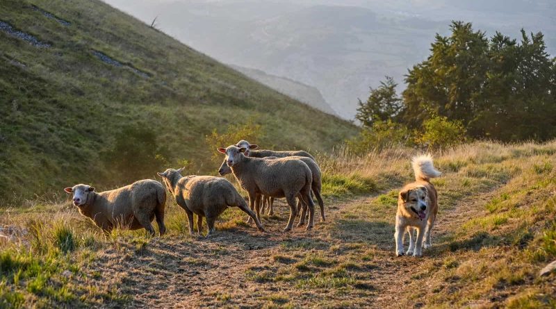 LIFEstockProtect -33574.JPG