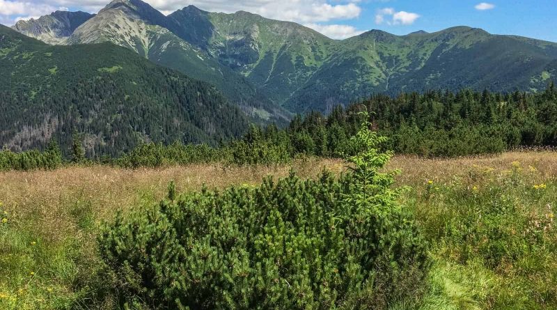 Jalovecka Wilderness Slovakia-33184.jpeg