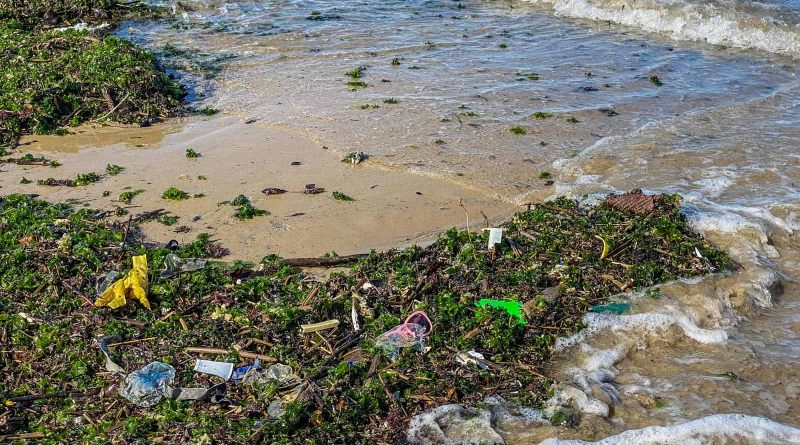 Plastic in Oceans-33095.JPG