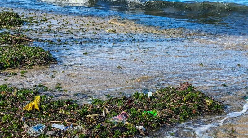 Plastic in Oceans-33096.JPG