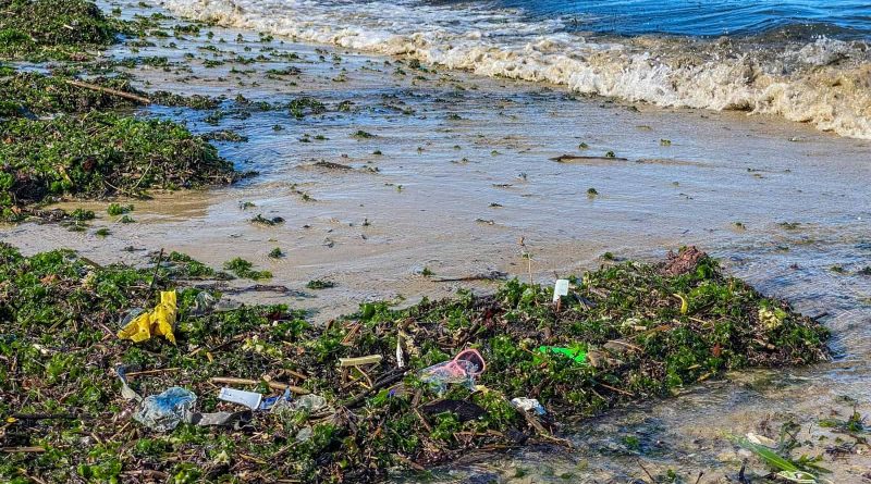 Plastic in Oceans-33097.JPG