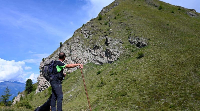 LIFEstockProtect -33452.JPG