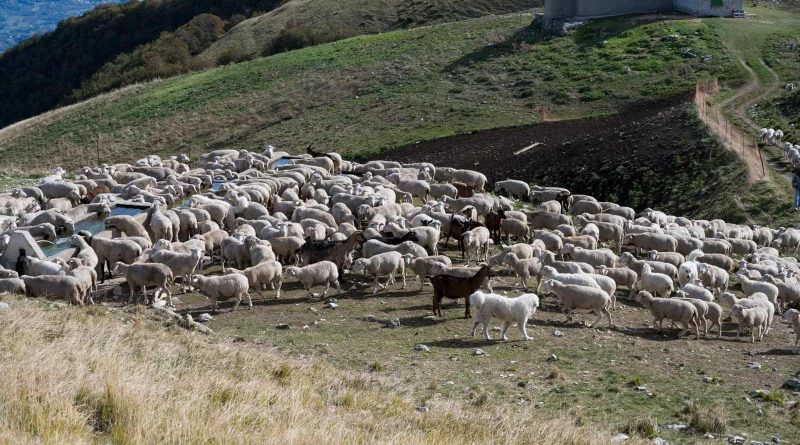 LIFEstockProtect Majella NP 2020-32444.dng