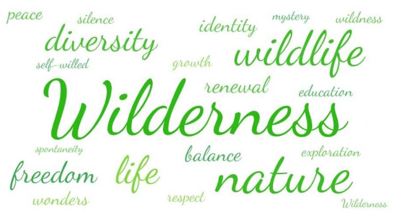 Word cloud Wilderness