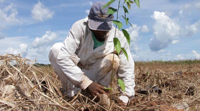 Black Jaguar-33350.JPG