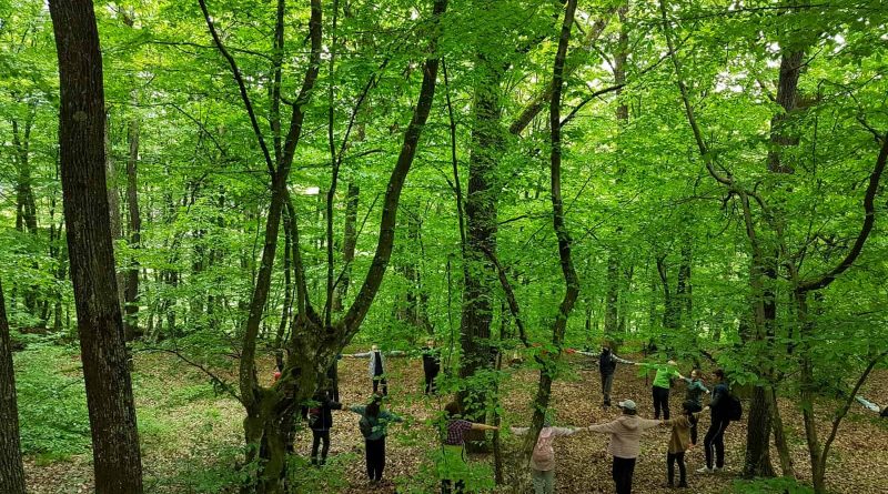 Youth Green Conference Ukraine-33457.jpg