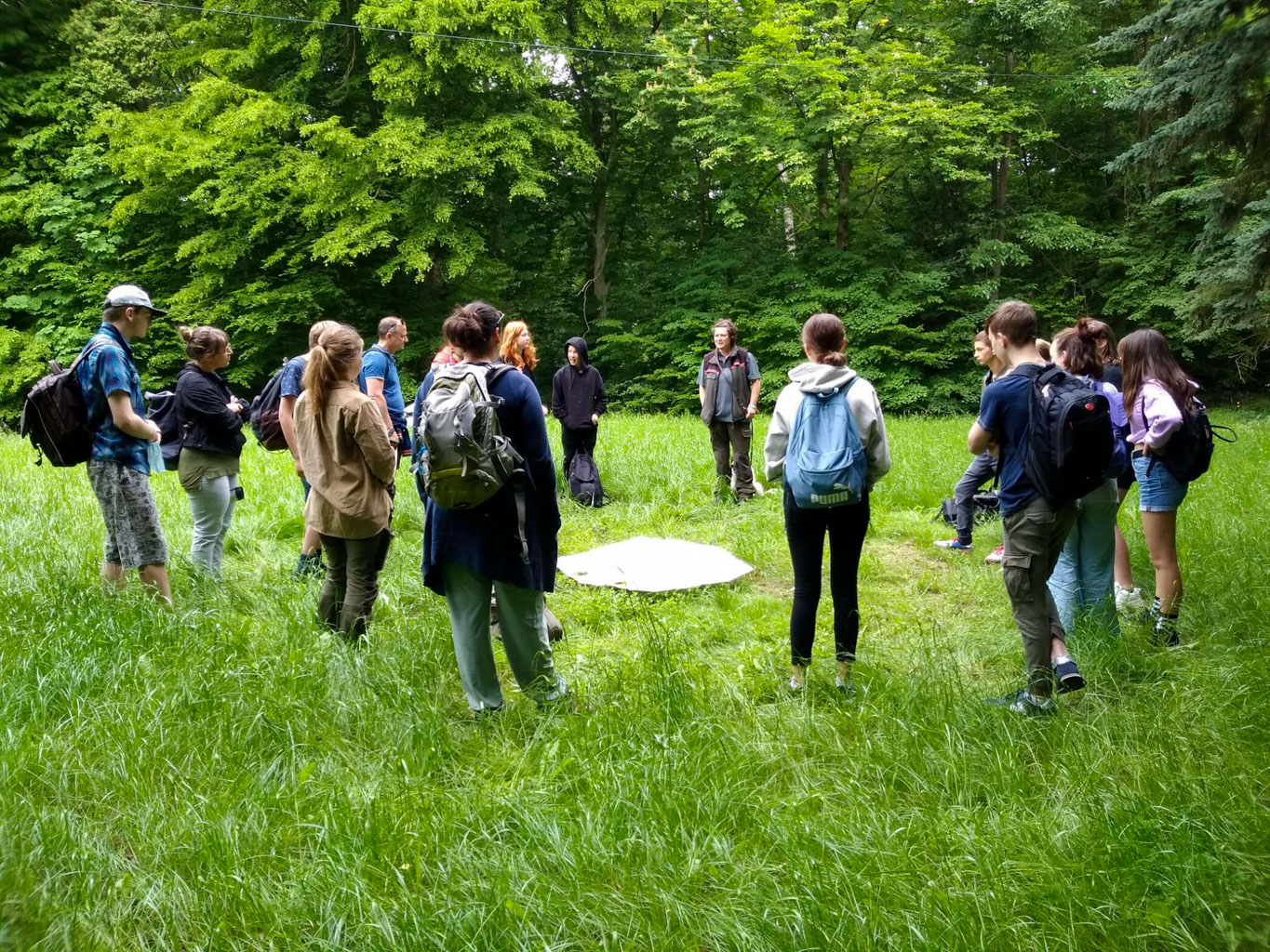 BEECH POWER-33805.jpeg