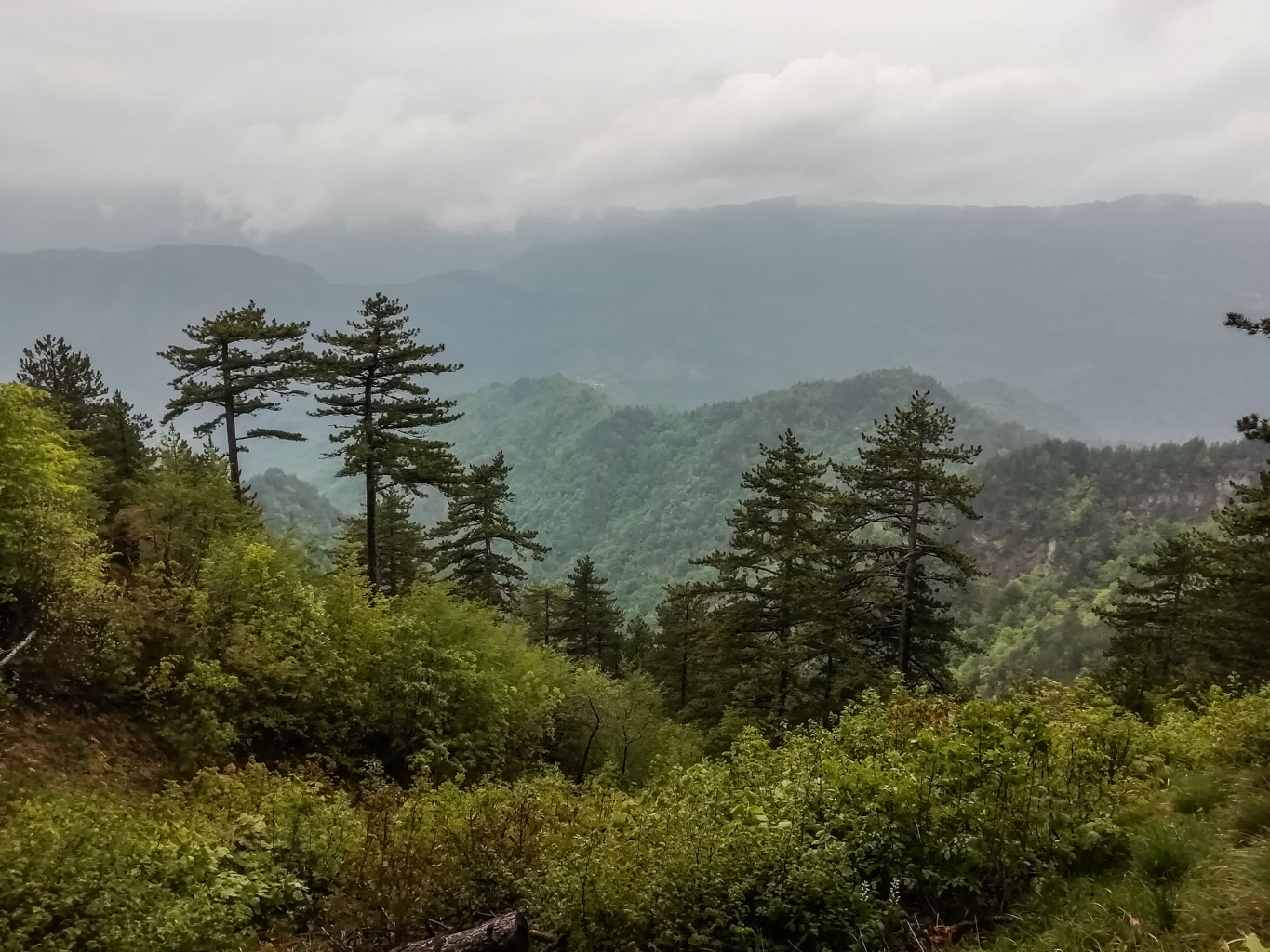 Interreg BEECH POWER Korkar Field Visit-31312.jpg