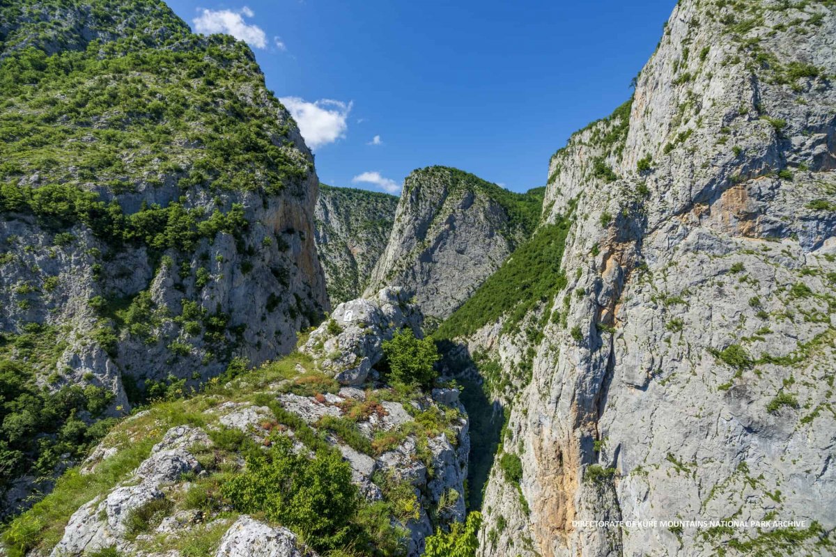 European Wilderness Network